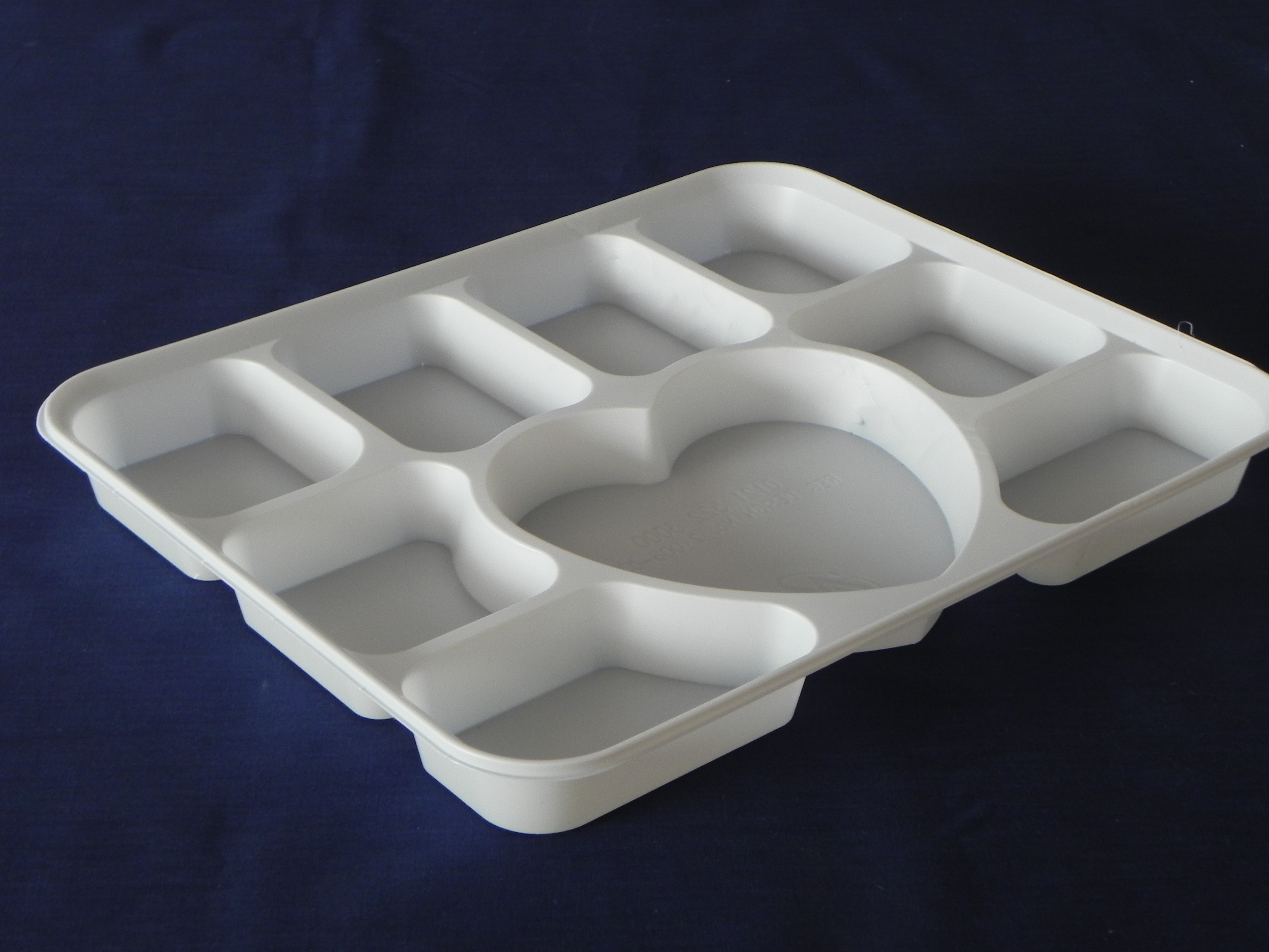 Plastic Trays (9 Section)