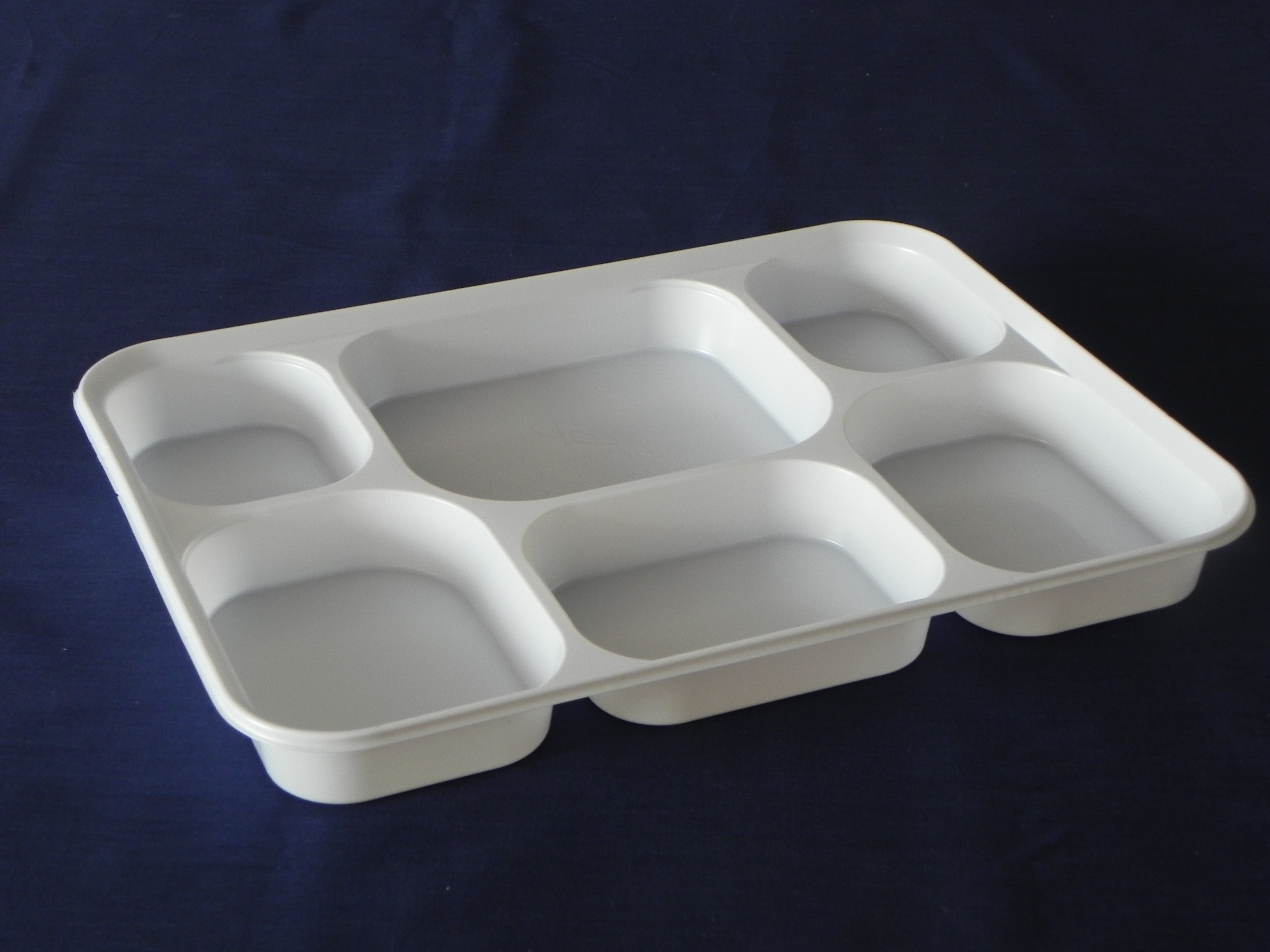 Plastic Trays (6 Section)